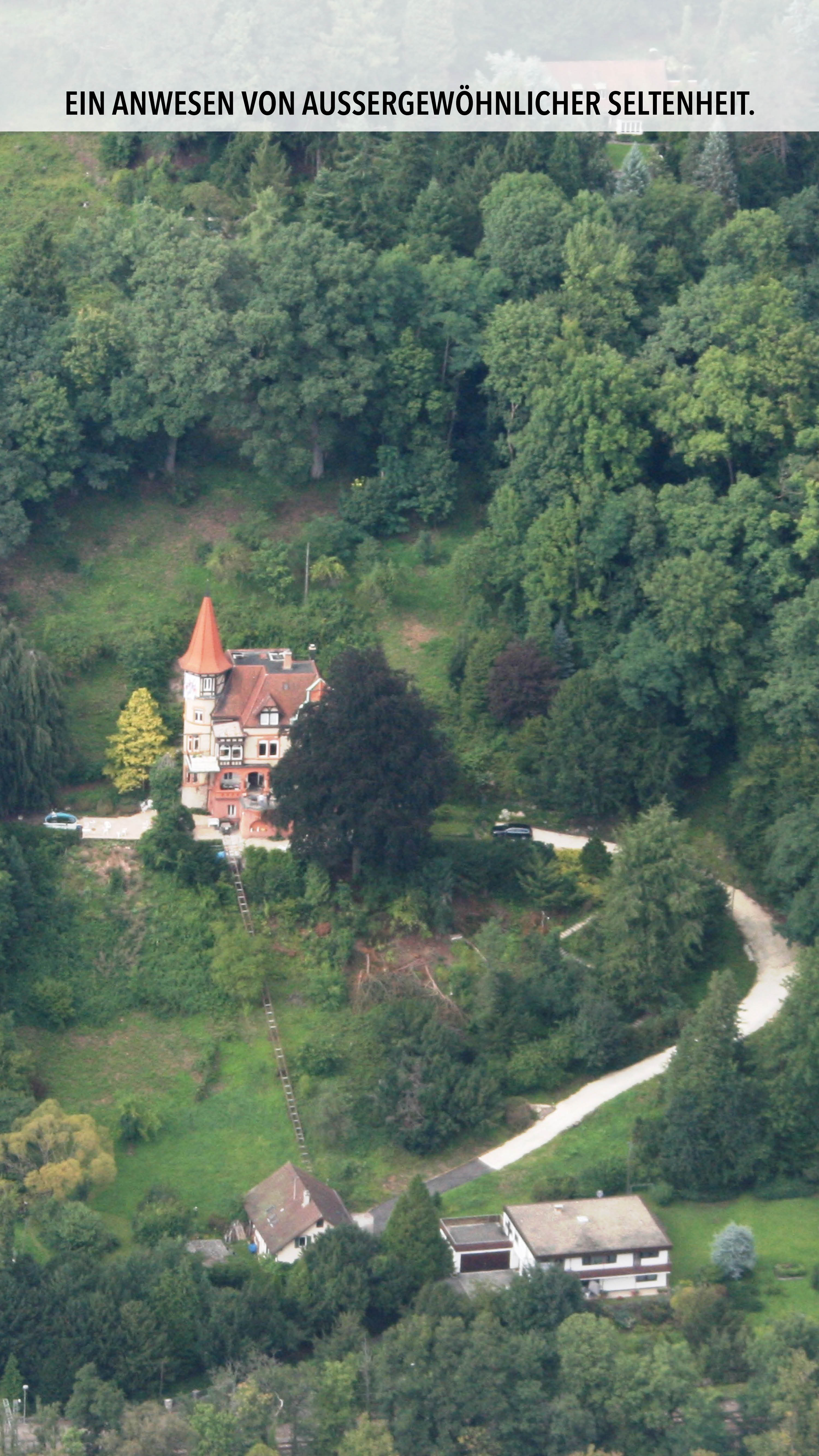 Slide 6